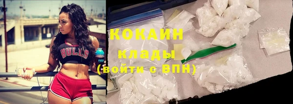 стафф Новокубанск
