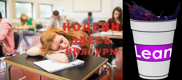 хмурый Новозыбков