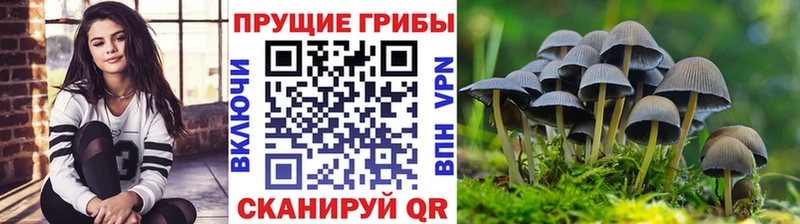 Псилоцибиновые грибы GOLDEN TEACHER Нязепетровск